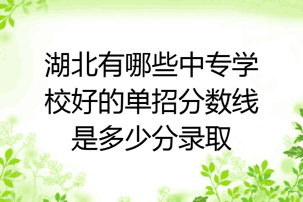湖北有哪些中专学校好的单招分数线是多少分录取
