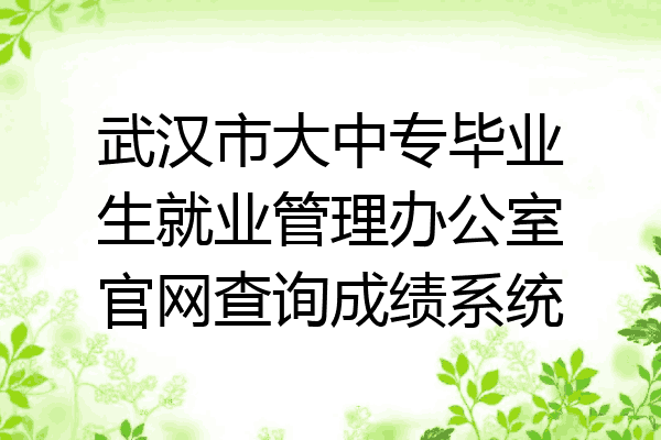 武汉市大中专毕业生就业管理办公室官网查询成绩系统