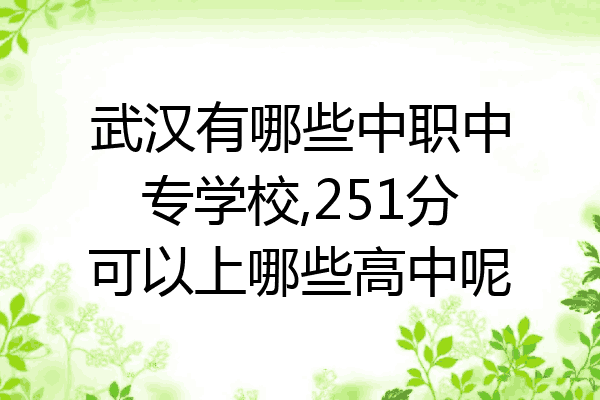 武汉有哪些中职中专学校,251分可以上哪些高中呢