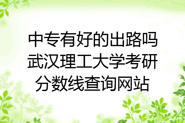 中专有好的出路吗武汉理工大学考研分数线查询网站