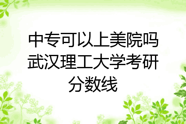 中专可以上美院吗武汉理工大学考研分数线