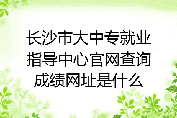 长沙市大中专就业指导中心官网查询成绩网址是什么