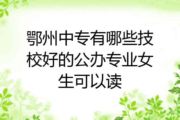 鄂州中专有哪些技校好的公办专业女生可以读