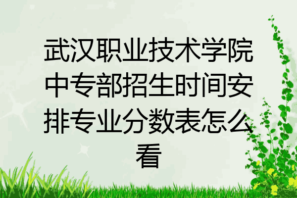 武汉职业技术学院中专部招生时间安排专业分数表怎么看