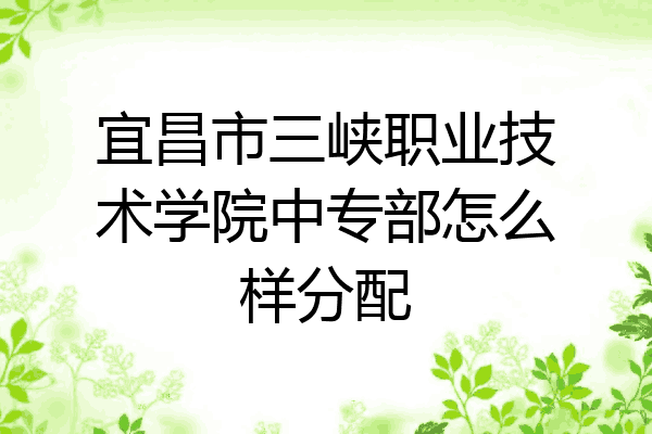 宜昌市三峡职业技术学院中专部怎么样分配