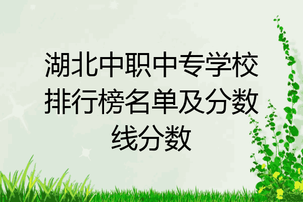 湖北中职中专学校排行榜名单及分数线分数