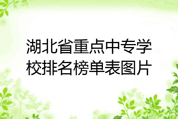 湖北省重点中专学校排名榜单表图片