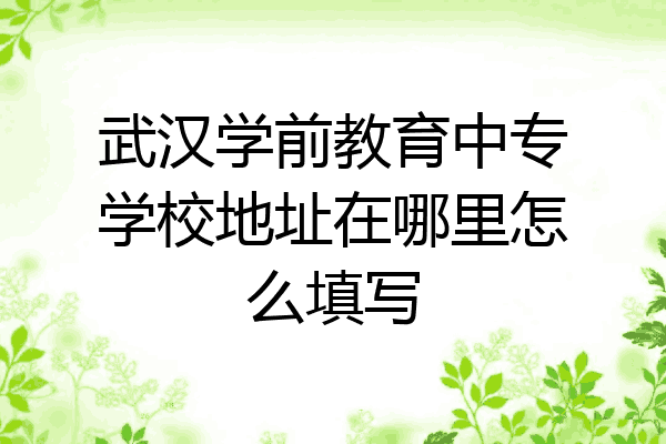 武汉学前教育中专学校地址在哪里怎么填写