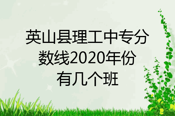 英山县理工中专分数线2020年份有几个班