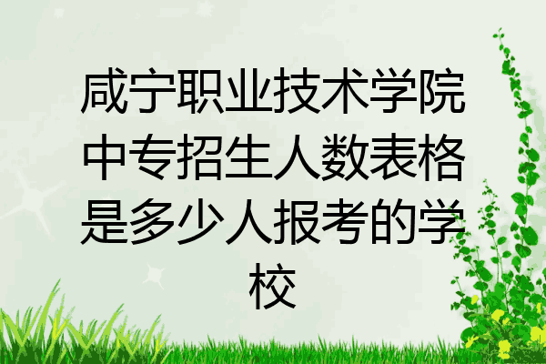 咸宁职业技术学院中专招生人数表格是多少人报考的学校