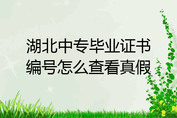 湖北中专毕业证书编号怎么查看真假