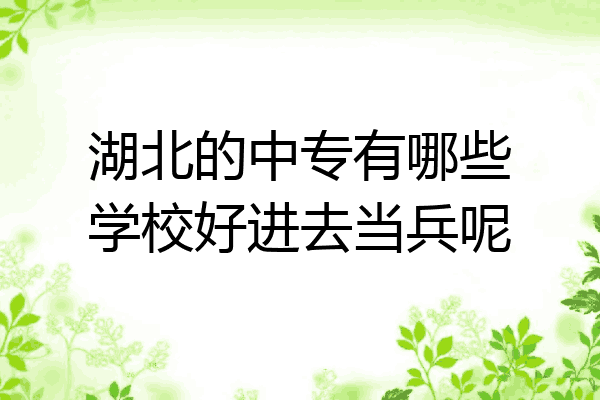 湖北的中专有哪些学校好进去当兵呢