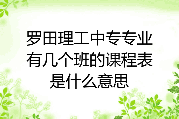 罗田理工中专专业有几个班的课程表是什么意思