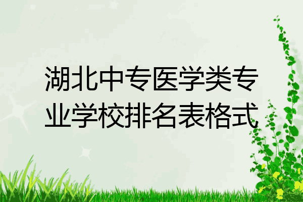 湖北中专医学类专业学校排名表格式