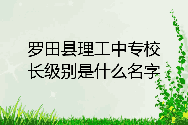 罗田县理工中专校长级别是什么名字