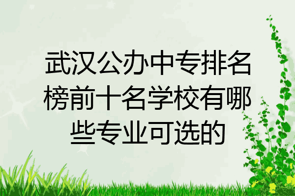 武汉公办中专排名榜前十名学校有哪些专业可选的