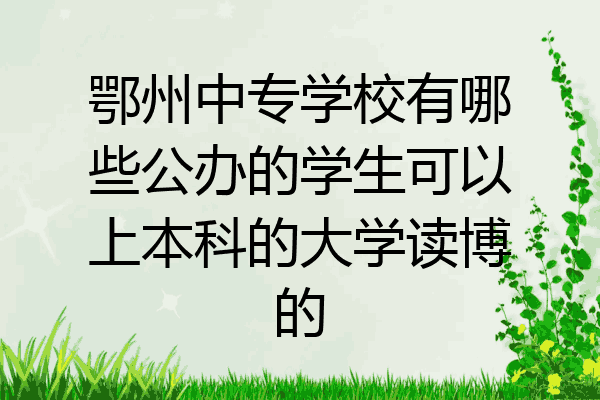 鄂州中专学校有哪些公办的学生可以上本科的大学读博的
