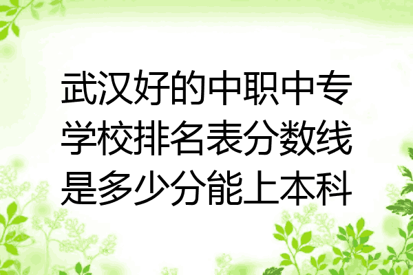 武汉好的中职中专学校排名表分数线是多少分能上本科