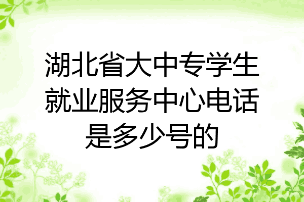 湖北省大中专学生就业服务中心电话是多少号的