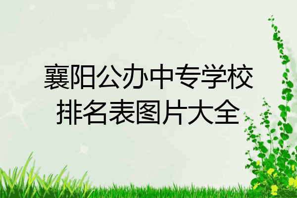 襄阳公办中专学校排名表图片大全