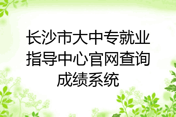长沙市大中专就业指导中心官网查询成绩系统