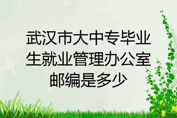 武汉市大中专毕业生就业管理办公室邮编是多少