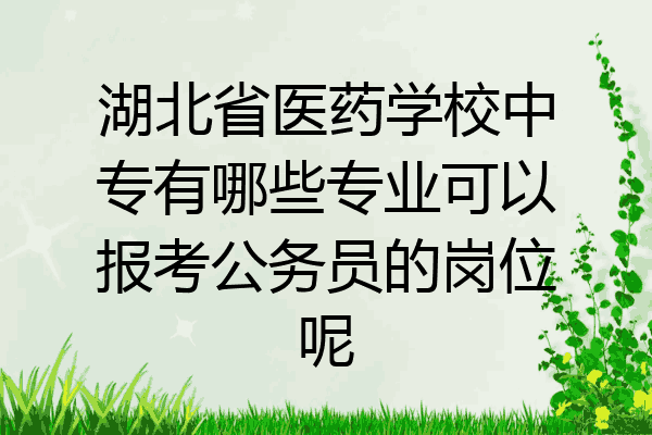 湖北省医药学校中专有哪些专业可以报考公务员的岗位呢