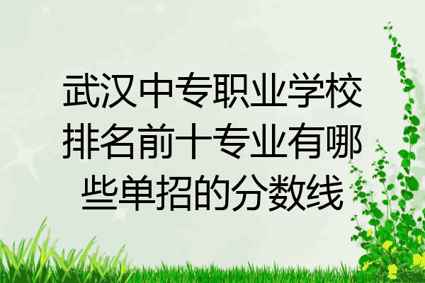 武汉中专职业学校排名前十专业有哪些单招的分数线