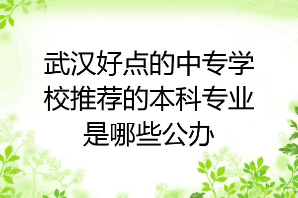 武汉好点的中专学校推荐的本科专业是哪些公办