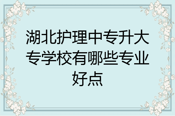 湖北护理中专升大专学校有哪些专业好点