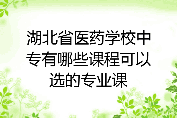湖北省医药学校中专有哪些课程可以选的专业课