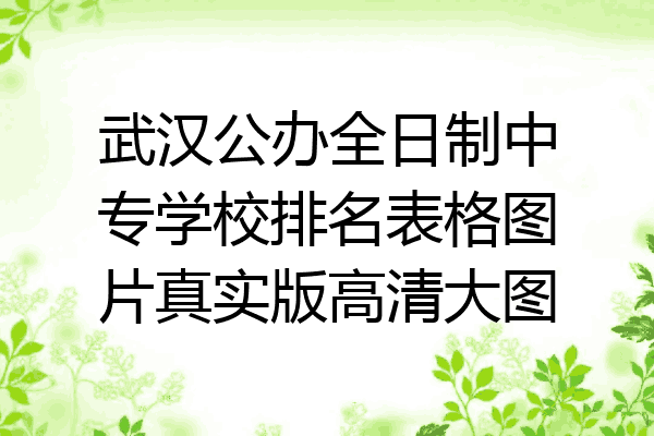 武汉公办全日制中专学校排名表格图片真实版高清大图
