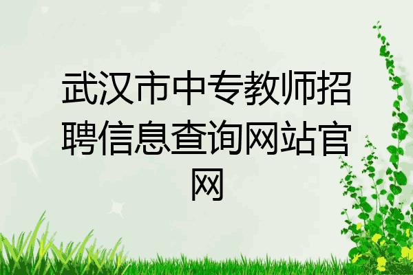 武汉市中专教师招聘信息查询网站官网