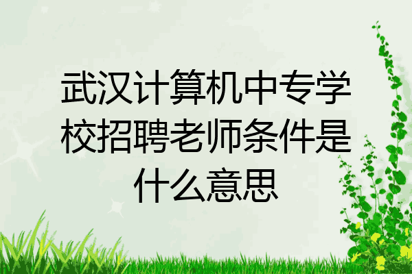 武汉计算机中专学校招聘老师条件是什么意思