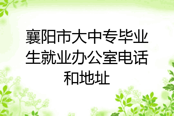 襄阳市大中专毕业生就业办公室电话和地址