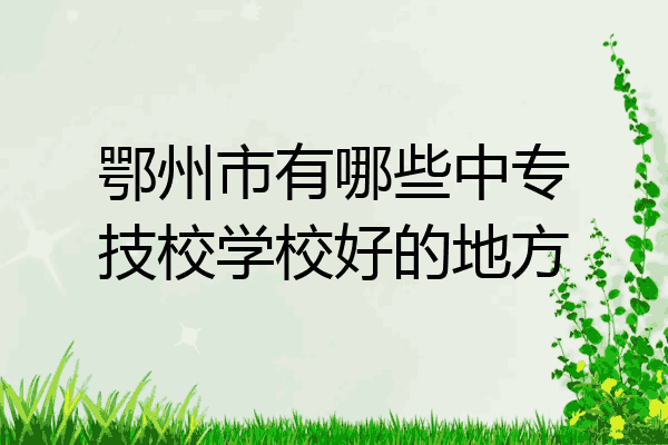 鄂州市有哪些中专技校学校好的地方