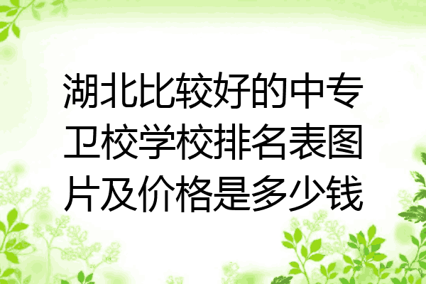 湖北比较好的中专卫校学校排名表图片及价格是多少钱