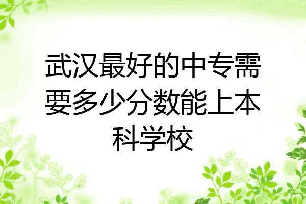 武汉最好的中专需要多少分数能上本科学校