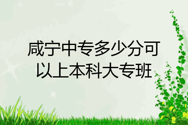 咸宁中专多少分可以上本科大专班