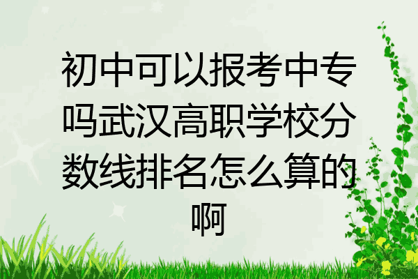 初中可以报考中专吗武汉高职学校分数线排名怎么算的啊