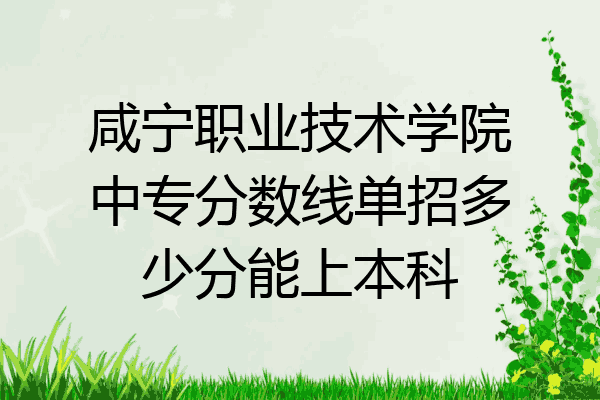 咸宁职业技术学院中专分数线单招多少分能上本科