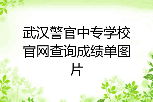 武汉警官中专学校官网查询成绩单图片
