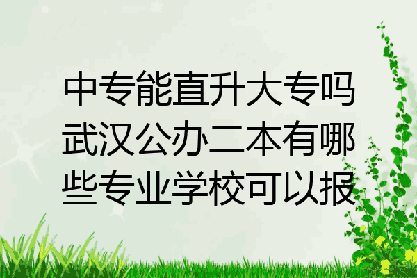 中专能直升大专吗武汉公办二本有哪些专业学校可以报