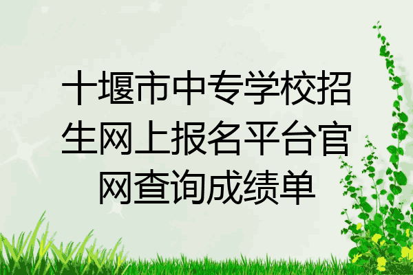 十堰市中专学校招生网上报名平台官网查询成绩单