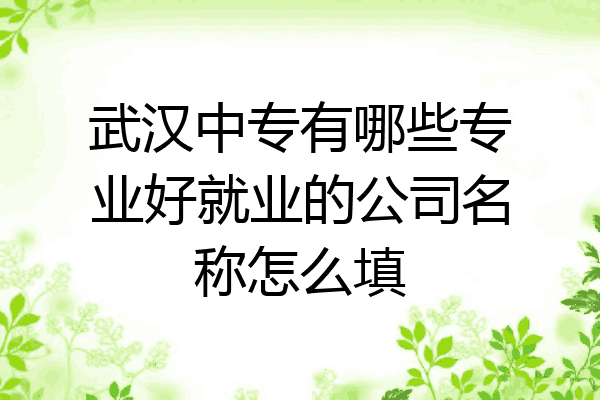 武汉中专有哪些专业好就业的公司名称怎么填