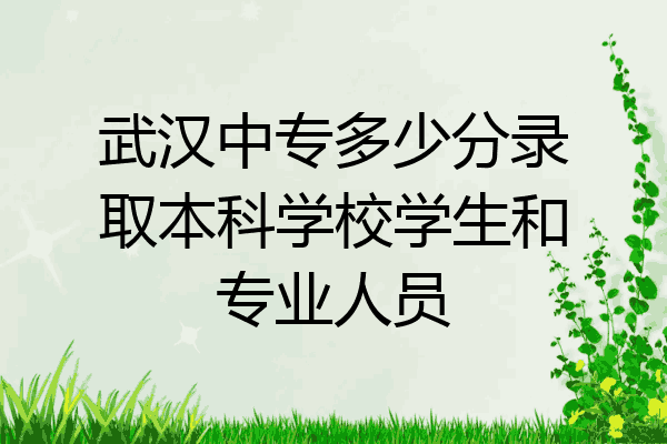 武汉中专多少分录取本科学校学生和专业人员
