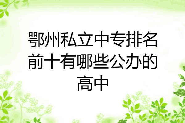 鄂州私立中专排名前十有哪些公办的高中