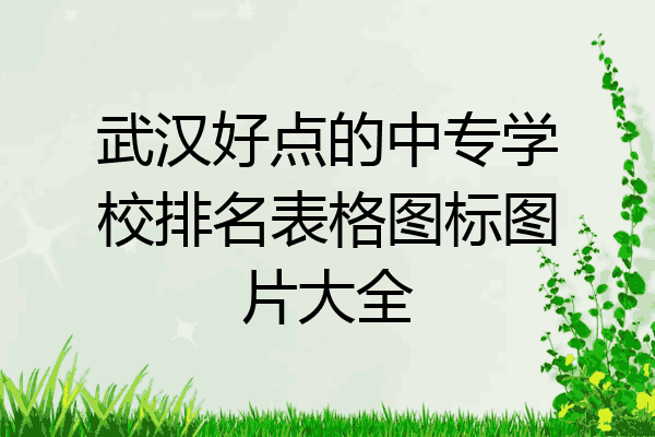 武汉好点的中专学校排名表格图标图片大全