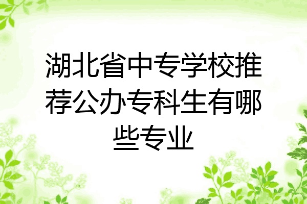 湖北省中专学校推荐公办专科生有哪些专业