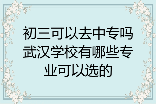 初三可以去中专吗武汉学校有哪些专业可以选的